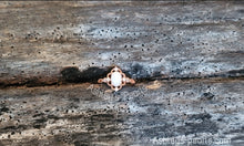 Load image into Gallery viewer, 5x7 MM Oval, Vintage