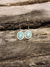 Load image into Gallery viewer, Oval Halo Hook Earrings